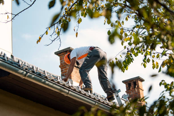 Best Rubber Roofing (EPDM, TPO)  in Creedmoor, NC